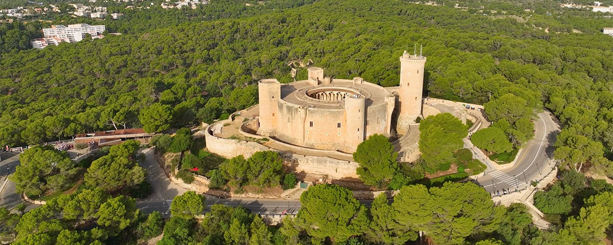 Welcome to the green heart of Palma